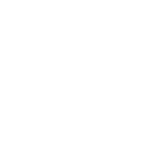 Lexus Auto Repair Service Model